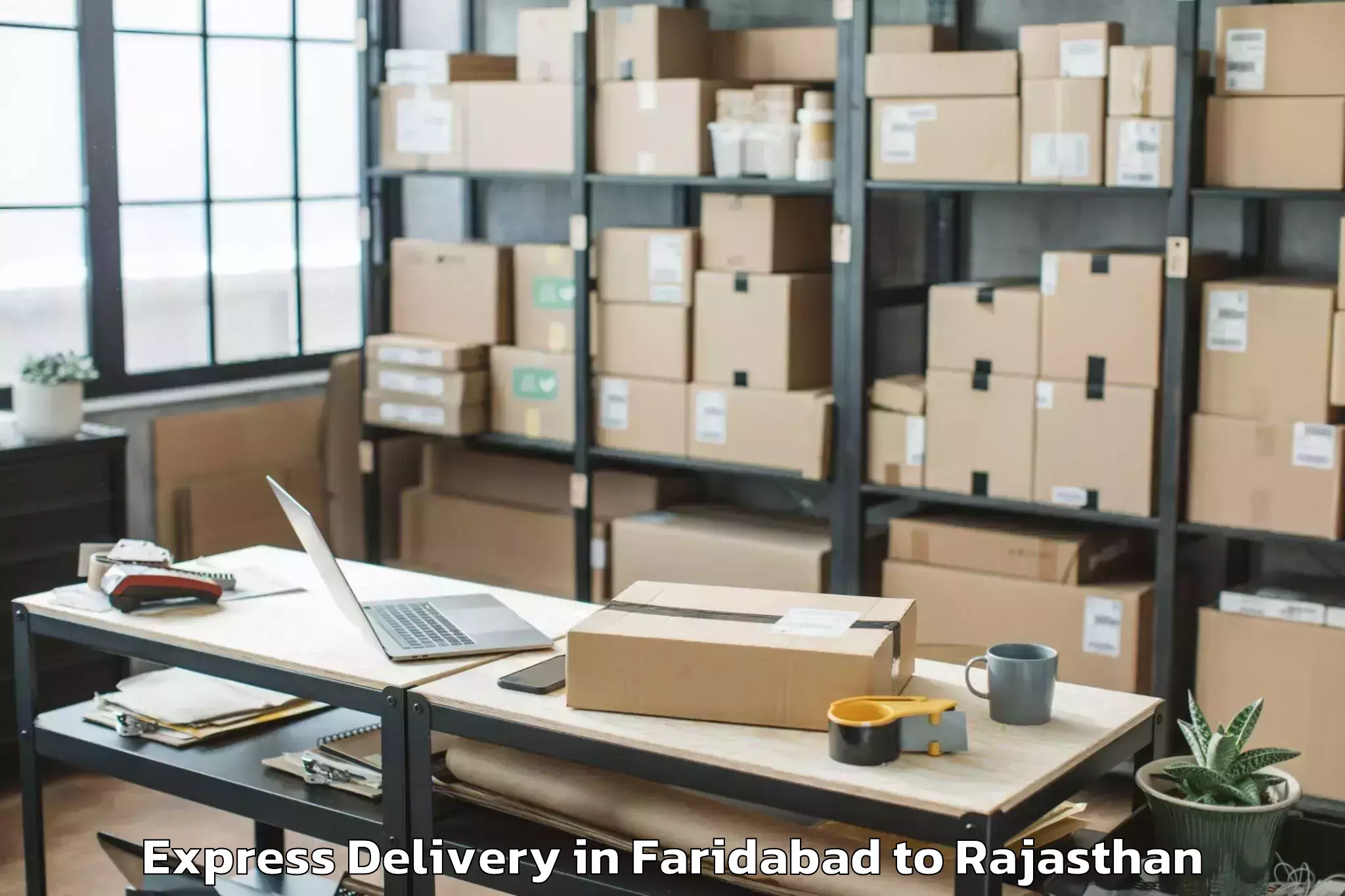 Professional Faridabad to Deshnoke Express Delivery